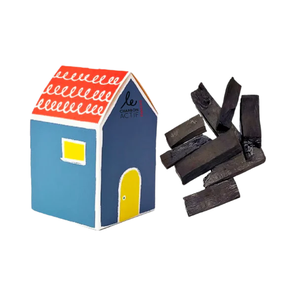 Charbon végétal filtre à eau vrac - 50g - Image 2