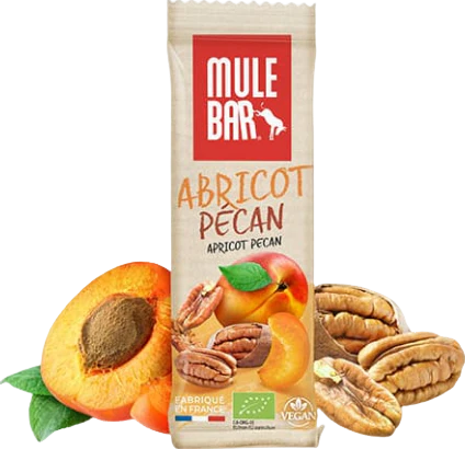 Barre énergétique abricot-pécan bio - 40g