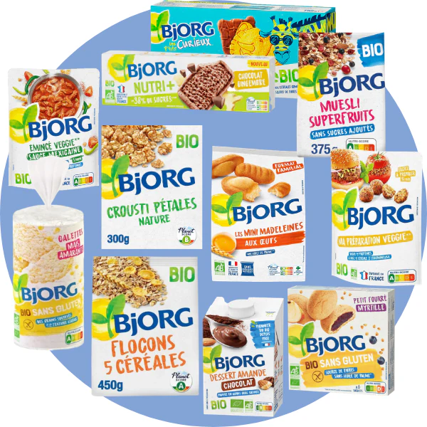 Panier Bjorg